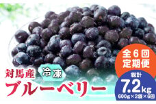 【全6回定期便】 大容量 対馬産 ブルーベリー （ 冷凍 ） 1.2kg【 さほの里ファーム 】《 対馬市 》 有機 旬 果物 フルーツ [WBG003]