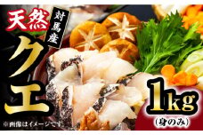 【 対馬産 】 天然 クエ 1kg（500g×2）（身のみ）《対馬市》【石川水産】 鍋 水炊き 鮮度抜群 海鮮 [WAB011] なべ くえ 鍋セット 海の幸 クエ 下処理 冷凍 新鮮 小分け 海産物 からあげ 天ぷら てんぷら 煮付け