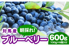 対馬産 朝採れ 大粒 ブルーベリー ( 青果 ) 600g 《対馬市》【さほの里ファーム】 フルーツ 果物 生食 新鮮 朝食 冷蔵 [WBG006]