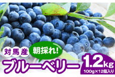 対馬産 朝採れ 大粒 ブルーベリー ( 青果 ) 1.2kg 《対馬市》【さほの里ファーム】 フルーツ 果物 生食 新鮮 朝食 冷蔵 [WBG005]