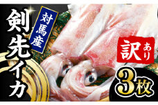 【対馬産】 剣先 イカ 生 冷凍（ 訳アリ ）3枚【石川水産】《対馬市》  新鮮 肉厚 海鮮 簡単調理 シロイカ ケンサキイカ 刺身 訳あり 規格外 [WAB012]九州 長崎 対馬 いか 剣先いか あかいか BBQ イカ焼き バーベキュー 簡単 ワケアリ わけあり 下処理