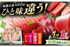 【全6回定期便】対馬産 本マグロ 4種 計1kg（赤身/中トロ/大トロ/ネギトロ）《対馬市》 【対海】[WAH007] マグロ まぐろ 鮪 本鮪 本マグロ 養殖 トロ 中トロ 中とろ 大トロ 大とろ 赤身 ねぎとろ ネギトロ たたき 刺身 冷凍 海鮮 魚 柵 お祝い 贈答 定期便 毎月届く
