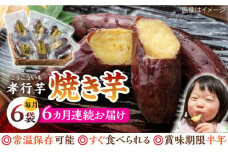 【全6回定期便】孝行芋 焼き芋 6袋 《 対馬市 》【 うえはら株式会社 】 対馬 やきいも 常温 保存食 濃密 甘い おやつ 濃蜜 スイーツ デザート [WAI022]