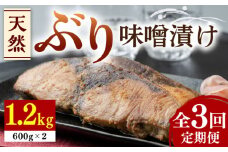 【全3回定期便】天然 ぶり 味噌漬け 2セット《対馬市》【うえはら株式会社】対馬産 ブリ 天然ブリ 魚 新鮮 冷凍 [WAI024]