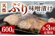 【全3回定期便】天然 ぶり 味噌漬け《対馬市》【うえはら株式会社】対馬産 ブリ 天然ブリ 魚 新鮮 冷凍 [WAI036]