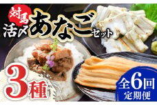 【全6回定期便】対馬 産 活〆 あなご セット《対馬市》【対馬地域商社】九州 長崎 煮あなご 佃煮 アナゴ [WAC019]冷凍 新鮮 あなご 穴子 下処理 寿司 あなご重 天ぷら おかず もう1品 おつまみ おにぎり ちらし寿司 海鮮 魚介 長崎 対馬 揚げ物 定期便 毎月届く