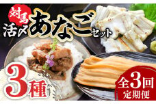 【全3回定期便】対馬 産 活〆 あなご セット《対馬市》【対馬地域商社】九州 長崎 煮あなご 佃煮 アナゴ [WAC018]冷凍 新鮮 あなご 穴子 下処理 寿司 あなご重 天ぷら おかず もう1品 おつまみ おにぎり ちらし寿司 海鮮 魚介 長崎 対馬 揚げ物 定期便 毎月届く