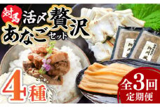 【全3回定期便】対馬産 あなご 贅沢 セット 《対馬市》【対馬地域商社】九州 長崎 煮あなご 佃煮 アナゴ [WAC021]冷凍 新鮮 あなご 穴子 柳川風 下処理 寿司 あなご重 天ぷら おかず もう1品 おつまみ おにぎり ちらし寿司 海鮮 魚介 長崎 対馬 定期便 毎月届く