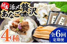 【全6回定期便】対馬産 あなご 贅沢 セット 《対馬市》【対馬地域商社】九州 長崎 煮あなご 佃煮 アナゴ [WAC022]冷凍 新鮮 あなご 穴子 柳川風 下処理 寿司 あなご重 天ぷら おかず もう1品 おつまみ おにぎり ちらし寿司 海鮮 魚介 長崎 対馬 定期便 毎月届く