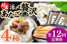 【全12回定期便】対馬産 あなご 贅沢 セット 《対馬市》【対馬地域商社】九州 長崎 煮あなご 佃煮 アナゴ [WAC023]冷凍 新鮮 あなご 穴子 柳川風 下処理 寿司 あなご重 天ぷら おかず もう1品 おつまみ おにぎり ちらし寿司 海鮮 魚介 長崎 対馬 定期便 毎月届く