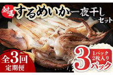 【全3回定期便】するめ いか 一夜干し セット《対馬市》【対馬地域商社】九州 長崎 海鮮 [WAC024]冷凍 新鮮 簡単調理 肉厚 スルメイカ いか 小分け 天ぷら 炒め物 おつまみ 個包装 贈り物 プレゼント 対馬 つしま するめいか 烏賊 人気 定期便 毎月届く