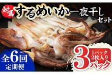 【全6回定期便】するめ いか 一夜干し セット《対馬市》【対馬地域商社】九州 長崎 海鮮 [WAC025]冷凍 新鮮 簡単調理 肉厚 スルメイカ いか 小分け 天ぷら 炒め物 おつまみ 個包装 贈り物 プレゼント 対馬 つしま するめいか 烏賊 人気 定期便 毎月届く