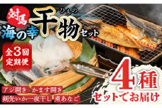 【全3回定期便】対馬 海の幸 干物 セット《対馬市》【対馬地域商社】九州 長崎 海鮮 [WAC027]冷凍 新鮮 魚 イカ あじ 鯵 アジ 剣先いか カマス 穴子 個包装 BBQ 魚介 浜焼き ひもの 朝食 おつまみ もう1品 対馬  定期便 毎月届く