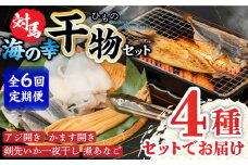 【全6回定期便】対馬 海の幸 干物 セット《対馬市》【対馬地域商社】九州 長崎 海鮮 [WAC028]冷凍 新鮮 魚 イカ あじ 鯵 アジ 剣先いか カマス 穴子 個包装 BBQ 魚介 浜焼き ひもの 朝食 おつまみ もう1品 対馬  定期便 毎月届く