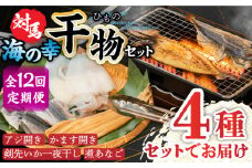 【全12回定期便】対馬 海の幸 干物 セット《対馬市》【対馬地域商社】九州 長崎 海鮮 [WAC029]冷凍 新鮮 魚 イカ あじ 鯵 アジ 剣先いか カマス 穴子 個包装 BBQ 魚介 浜焼き ひもの 朝食 おつまみ もう1品 対馬  定期便 毎月届く