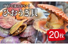 【最速発送】 ひおうぎ貝 20枚 《 対馬市 》【 うえはら株式会社 】 新鮮 肉厚 海産物 対馬産 貝 BBQ 冷凍 疲労回復 特産品 ビタミン  スピード発送 最短発送 [WAI085]