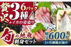 【全3回定期便】対馬 イカ 姿造り と 刺身 の セット 【真心水産】《対馬市》新鮮 海鮮 いか 冷凍 刺身 ケンサキイカ 島魚 海鮮丼 手巻き寿司 [WAK013]