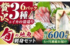 【全6回定期便】対馬 イカ 姿造り と 刺身 の セット 【真心水産】《対馬市》新鮮 海鮮 いか 冷凍 刺身 ケンサキイカ 島魚 海鮮丼 手巻き寿司 [WAK014]
