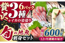【全12回定期便】対馬 イカ 姿造り と 刺身 の セット 【真心水産】《対馬市》新鮮 海鮮 いか 冷凍 刺身 ケンサキイカ 島魚 海鮮丼 手巻き寿司 [WAK015]