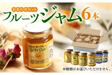 対馬のフルーツジャム 6本(3種類以上)セット《対馬市》【対馬コノソレ】フルーツ 果肉 詰め合わせ ジューシー 朝食 食べ比べ 島の瞳 ゆず ジャム ソース [WAM019]