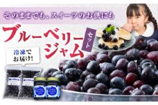 対馬産 大粒 ブルベーリー 700g×2袋 / ジャム セット 130g×2個《対馬市》【さほの里ファーム】 ブルーベリー フルーツ 詰め合わせ 朝食 新鮮 果実 ギフト  [WBG007]