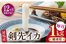 【全12回定期便】剣先 イカ 刺身 セット 1kg《対馬市》【海風商事】あかいか まるいか 九州 長崎 対馬 刺身 冷凍 ギフト 海鮮 魚介 魚介類 寿司 烏賊 [WAD048]