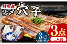【全3回定期便】対馬産 活〆 穴子 ３点 セット A【THE・対馬株式会社】《対馬市》新鮮 あなご 刺身 天ぷら 海鮮 肉厚 簡単調理 一人前 [WAS006]