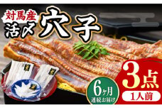 【全6回定期便】対馬産 活〆 穴子 ３点 セット A【THE・対馬株式会社】《対馬市》新鮮 あなご 刺身 天ぷら 海鮮 肉厚 簡単調理 一人前 [WAS007]
