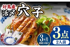 【全3回定期便】対馬産 活〆 穴子 ３点 セット B【THE・対馬株式会社】《対馬市》新鮮 あなご 刺身 天ぷら 海鮮 肉厚 簡単調理 二人前 [WAS009]