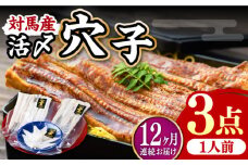 【全12回定期便】対馬産 活〆 穴子 ３点 セット A【THE・対馬株式会社】《対馬市》新鮮 あなご 刺身 天ぷら 海鮮 肉厚 簡単調理 一人前 [WAS008]