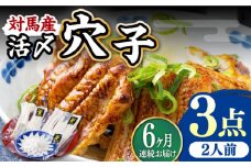 【全6回定期便】対馬産 活〆 穴子 ３点 セット B【THE・対馬株式会社】《対馬市》新鮮 あなご 刺身 天ぷら 海鮮 肉厚 簡単調理 二人前 [WAS010]