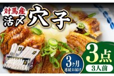 【全3回定期便】対馬産 活〆 穴子 ３点 セットC【THE・対馬株式会社】《対馬市》新鮮 あなご 刺身 天ぷら 海鮮 肉厚 簡単調理 三人前 [WAS012]