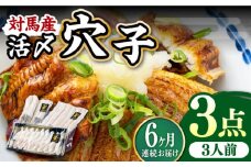 【全6回定期便】対馬産 活〆 穴子 ３点 セットC【THE・対馬株式会社】《対馬市》新鮮 あなご 刺身 天ぷら 海鮮 肉厚 簡単調理 三人前 [WAS013]