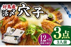 【全12回定期便】対馬産 活〆 穴子 ３点 セットC【THE・対馬株式会社】《対馬市》新鮮 あなご 刺身 天ぷら 海鮮 肉厚 簡単調理 三人前 [WAS014]