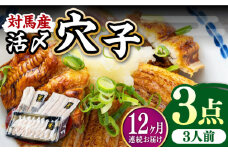 【全12回定期便】対馬産 活〆 穴子 ３点 セットC【THE・対馬株式会社】《対馬市》新鮮 あなご 刺身 天ぷら 海鮮 肉厚 簡単調理 三人前 [WAS014]
