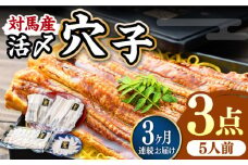 【全3回定期便】対馬産 活〆 穴子 ３点 セット D【THE・対馬株式会社】《対馬市》新鮮 あなご 刺身 天ぷら 海鮮 肉厚 簡単調理 5人前 [WAS015]