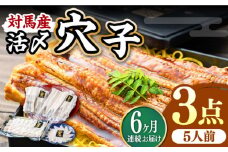 【全6回定期便】対馬産 活〆 穴子 ３点 セット D【THE・対馬株式会社】《対馬市》新鮮 あなご 刺身 天ぷら 海鮮 肉厚 簡単調理 5人前 [WAS016]