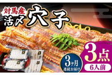 【全3回定期便】対馬産 活〆 穴子 ３点 セット E【THE・対馬株式会社】《対馬市》新鮮 あなご 刺身 天ぷら 海鮮 肉厚 簡単調理 六人前 [WAS018]