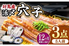 【全12回定期便】対馬産 活〆 穴子 ３点 セット D【THE・対馬株式会社】《対馬市》新鮮 あなご 刺身 天ぷら 海鮮 肉厚 簡単調理 5人前 [WAS017]