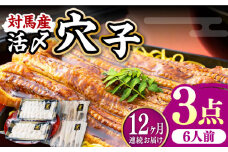 【全12回定期便】対馬産 活〆 穴子 ３点 セット E【THE・対馬株式会社】《対馬市》新鮮 あなご 刺身 天ぷら 海鮮 肉厚 簡単調理 六人前 [WAS020]