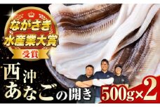 【最速発送】 対馬産 天然あなごの開き500g×2《対馬市》【すし処慎一】国産 肉厚 穴子 アナゴ 新鮮 冷凍 白焼き 天ぷら 揚げ物 贈り物  スピード発送 最短発送 [WCO002]