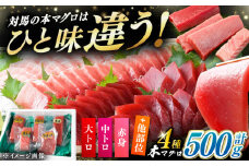 対馬産 生 本マグロ 500g （赤身、中トロ、大トロ）《対馬市》【対海】 中トロ 大トロ まぐろ マグロ 鮪 生まぐろ 冷蔵 海鮮 鮮魚 新鮮 [WAH025]