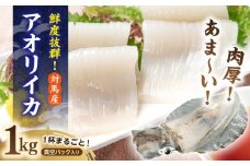 【最速発送】 長崎県 対馬産 天然 アオリイカ 1杯【対馬市】【エムズスタイル】 新鮮 冷凍 直送 イカ 水イカ 刺身 煮付け  スピード発送 最短発送 [WCN003]