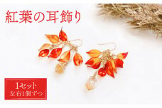 紅葉 耳飾り ( ピアス ) 【合同会社かもめ】《対馬市》ジュエリー フック おしゃれ アクセサリー プレゼント [WBP003-1]
