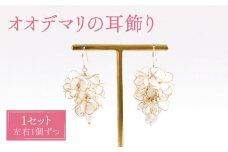オオデマリ 耳飾り ( ピアス ) 【合同会社かもめ】《対馬市》ジュエリー フック おしゃれ アクセサリー プレゼント 花飾り [WBP005-1]