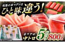 対馬産 養殖 本マグロ 中トロ 800ｇ(5パック)《対馬市》【対海】 マグロ 鮪 まぐろ 本鮪 中とろ [WAH019]