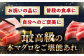 冷凍 新鮮 直送 マグロ 鮪 まぐろ 本鮪 中トロ 中とろ 魚 小分け 海鮮 柵 刺し身 刺身 海鮮丼 鮮魚 寿司 とろ 