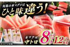対馬産 養殖 本マグロ 中トロ 1.2kg(8パック)《対馬市》【対海】マグロ 鮪 まぐろ 本鮪 中とろ 中トロ 鮮魚 魚 海鮮 さしみ [WAH020]