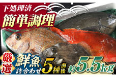 【期間限定！】対馬産 鮮魚 詰め合わせ 5種前後 5.5ｋｇ《対馬市》【対海】新鮮 天然 直送 冷蔵 セット [WAH023]