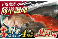 【期間限定！】対馬産 鮮魚 詰め合わせ 4種前後 2.5ｋｇ《対馬市》【対海】新鮮 天然 直送 冷蔵 セット [WAH021]